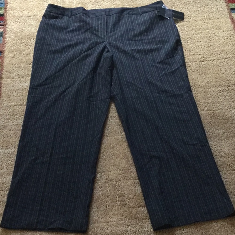 Dress Pants